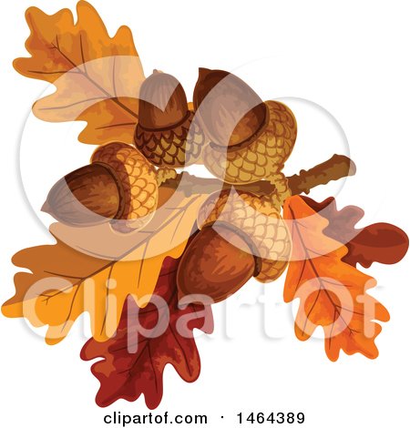 Clipart of Acorns and Autumn Oak Leaves - Royalty Free Vector Illustration by Vector Tradition SM