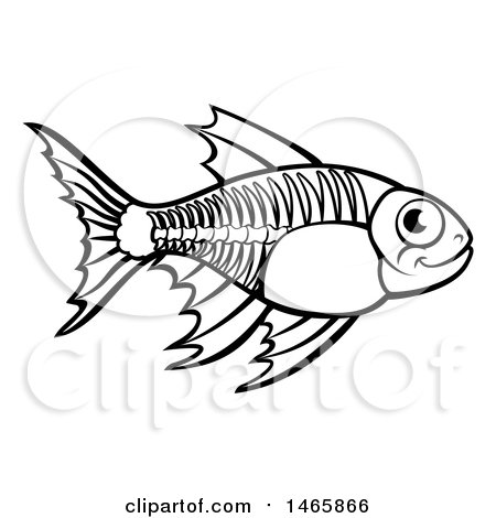 Clipart of a Black and White Xray Fish - Royalty Free Vector Illustration by AtStockIllustration