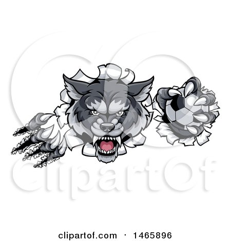 Clipart of a Ferocious Gray Wolf Slashing Through a Wall with a Soccer Ball - Royalty Free Vector Illustration by AtStockIllustration