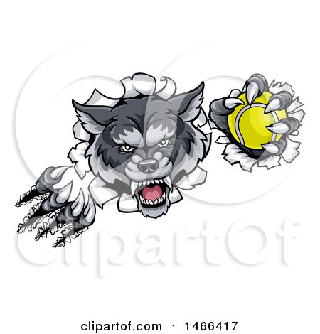 Clipart of a Ferocious Gray Wolf Slashing Through a Wall with a Tennis Ball - Royalty Free Vector Illustration by AtStockIllustration