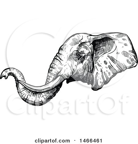 Clipart of a Sketched Black and White Elephant Head in Profile - Royalty Free Vector Illustration by Vector Tradition SM