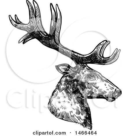 Clipart of a Sketched Black and White Profiled Deer or Carbiou Head - Royalty Free Vector Illustration by Vector Tradition SM