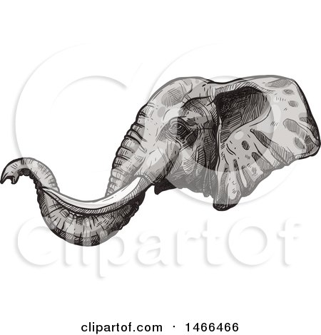Clipart of a Sketched Elephant Head in Profile - Royalty Free Vector Illustration by Vector Tradition SM