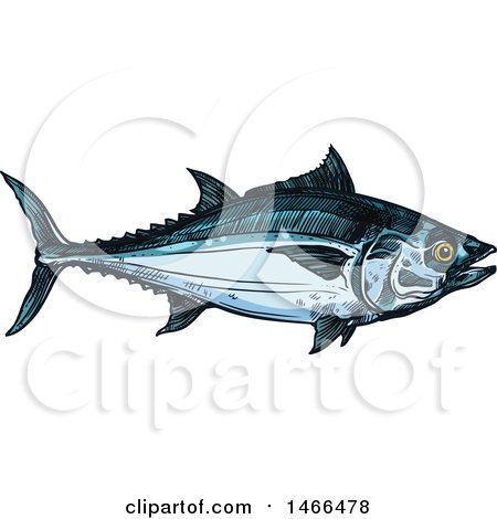 Clipart of a Sketched Tuna Fish - Royalty Free Vector Illustration by Vector Tradition SM