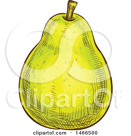Clipart of a Sketched Pear - Royalty Free Vector Illustration by Vector Tradition SM