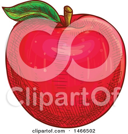 Clipart of a Sketched Red Apple - Royalty Free Vector Illustration by Vector Tradition SM