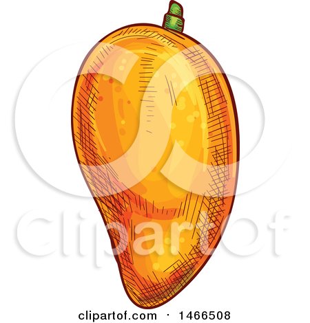 Clipart of a Sketched Mango - Royalty Free Vector Illustration by Vector Tradition SM