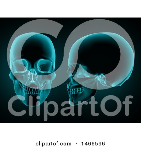 Clipart of a 3d Front and Side View of a Skull in Blue Tones - Royalty Free Illustration by KJ Pargeter
