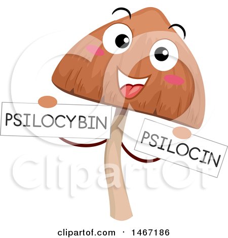 Clipart of a Psychedelic Mushroom Mascot Holding Psilocybin Psilocin Text Signs - Royalty Free Vector Illustration by BNP Design Studio