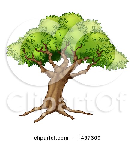 Clipart of a Beautiful Fairy Tale Styled Tree with Roots - Royalty Free Vector Illustration by AtStockIllustration