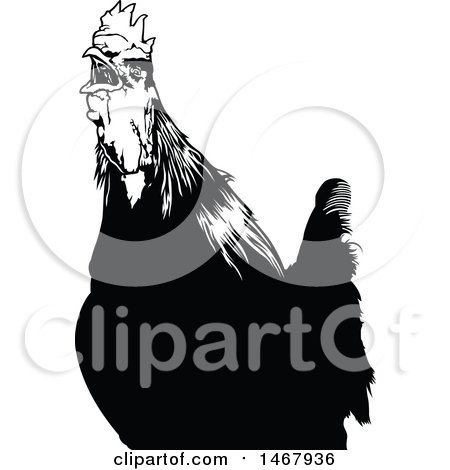 Clipart of a Black and White Crowing Rooster - Royalty Free Vector Illustration by dero