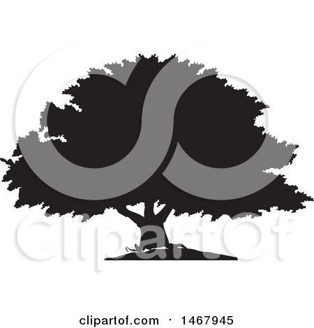 Clipart of a Tree Black and White Silhouette - Royalty Free Vector Illustration by Johnny Sajem