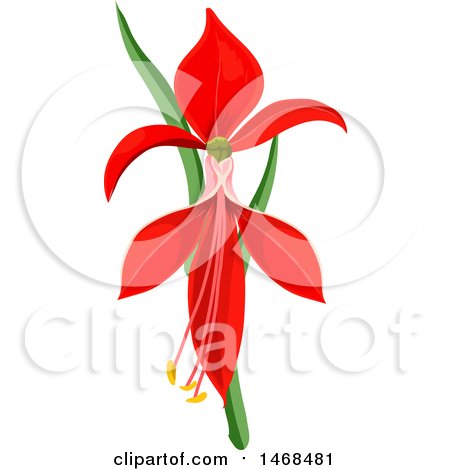 Clipart of a Red Lily Flower - Royalty Free Vector Illustration by Vector Tradition SM