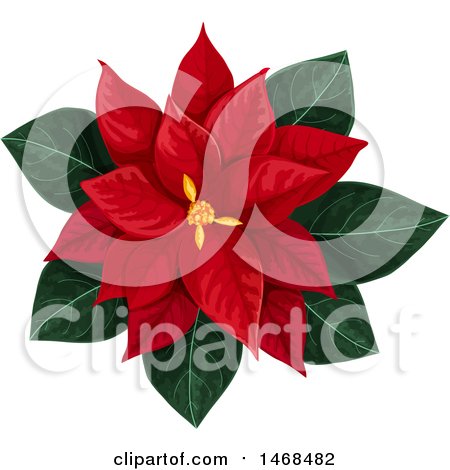 Clipart of a Red Poinsetta Flower - Royalty Free Vector Illustration by Vector Tradition SM