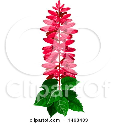 Clipart of a Pink Flowering Plant - Royalty Free Vector Illustration by Vector Tradition SM