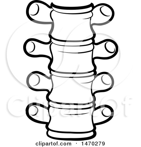 Clipart of a Black and White Spine - Royalty Free Vector Illustration by Lal Perera