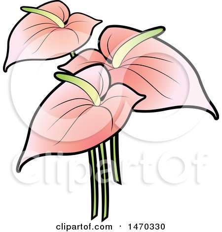 Clipart of Pink Anthurium Flowers - Royalty Free Vector Illustration by Lal Perera