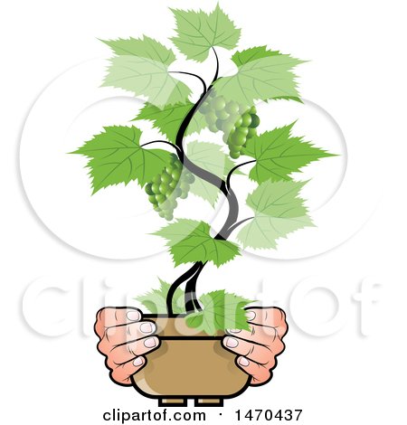 Clipart of a Pair of Hands Holding a Potted Grape Vine - Royalty Free Vector Illustration by Lal Perera