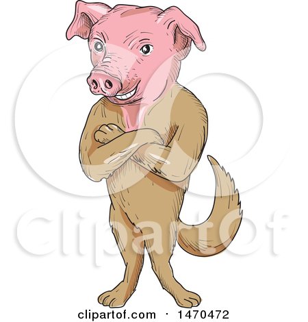 Clipart of a Creature with a Pig Head and Dog Body in Cartoon Sketch Style - Royalty Free Vector Illustration by patrimonio
