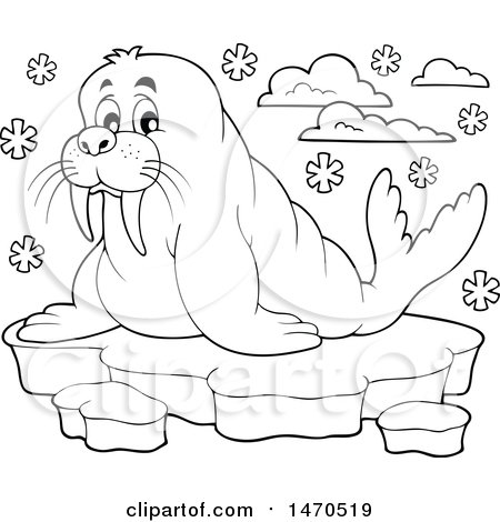 Clipart of a Walrus on Ice, in Black and White - Royalty Free Vector Illustration by visekart