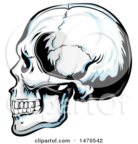 Clipart of a Human Skull in Profile - Royalty Free Vector Illustration by Domenico Condello