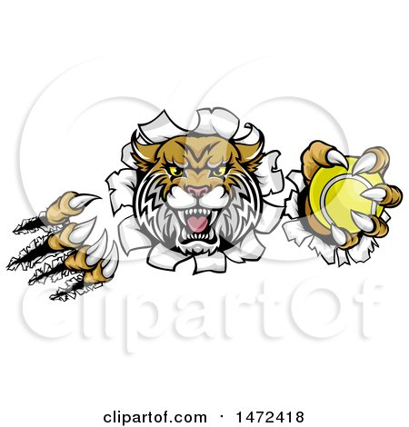 Clipart of a Vicious Wildcat Mascot Shredding Through a Wall with a Tennis Ball - Royalty Free Vector Illustration by AtStockIllustration