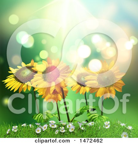 Clipart of 3d Sunflowers over Green - Royalty Free Illustration by KJ Pargeter