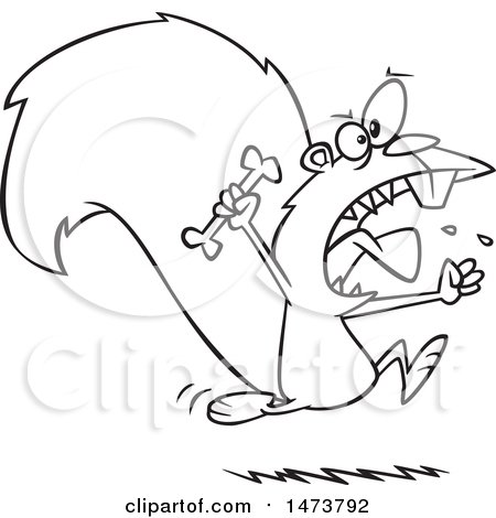 Clipart of a Cartoon Lineart Raging Carnivorous Squirrel Holding a Bone - Royalty Free Vector Illustration by toonaday