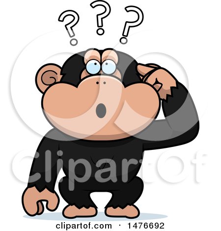 Clipart of a Confused Chimpanzee Monkey Scratching His Head - Royalty Free Vector Illustration by Cory Thoman
