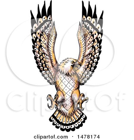 Clipart of a Tattoo Styled Swooping Osprey, on a White Background - Royalty Free Illustration by patrimonio