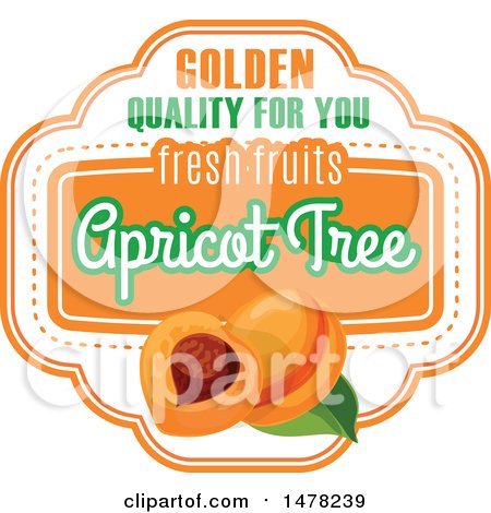 Clipart of an Apricot and Text Design - Royalty Free Vector Illustration by Vector Tradition SM