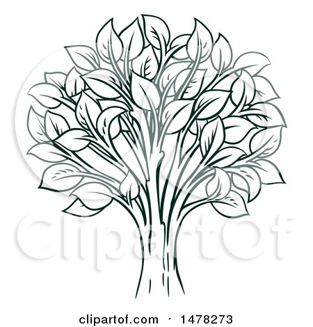 Clipart of a Tree with Leaves - Royalty Free Vector Illustration by AtStockIllustration