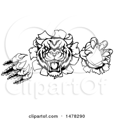 Clipart of a Vicious Tiger Mascot Slashing Through a Wall with a Football - Royalty Free Vector Illustration by AtStockIllustration