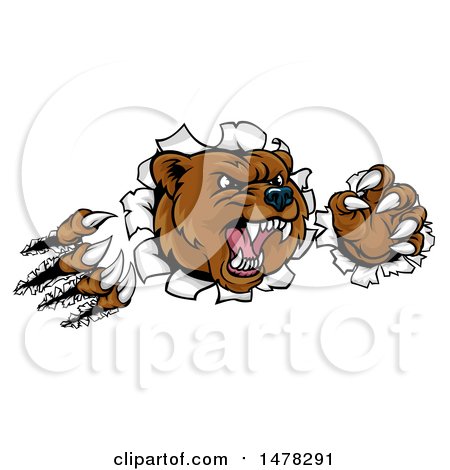 Clipart of a Mad Grizzly Bear Mascot Breaking Through a Wall - Royalty Free Vector Illustration by AtStockIllustration