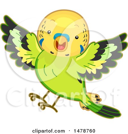 Clipart of a Flying Budgerigar Parakeet Bird - Royalty Free Vector Illustration by BNP Design Studio