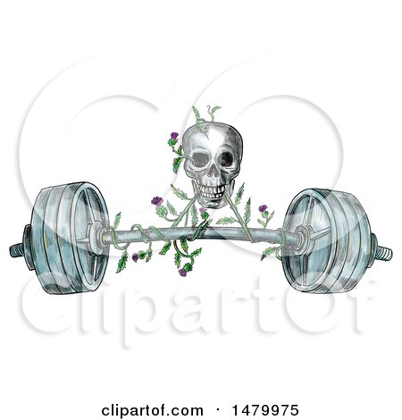 Clipart of a Skull Lifting a Barbell with a Scottish Thistle Vine in Sketched Tattoo Style, on a White Background - Royalty Free Illustration by patrimonio