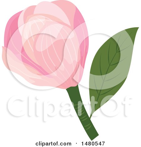 Clipart of a Pink Magnolia Flower - Royalty Free Vector Illustration by Cherie Reve