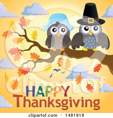 Clipart of a Pilgrim Owl Couple on a Fall Tree Branch over Happy Thanksgiving Text - Royalty Free Vector Illustration by visekart