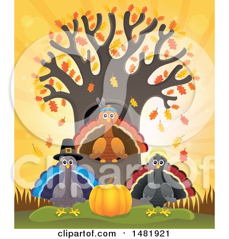 Clipart of a Group of Thanksgiving Native and Pilgrim Turkey Birds at a Tree - Royalty Free Vector Illustration by visekart