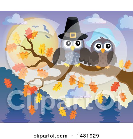 Clipart of a Thanksgiving Pilgrim Owl Couple on a Fall Tree Branch - Royalty Free Vector Illustration by visekart