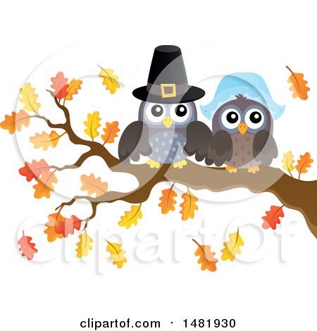 Clipart of a Thanksgiving Pilgrim Owl Couple on a Fall Tree Branch - Royalty Free Vector Illustration by visekart