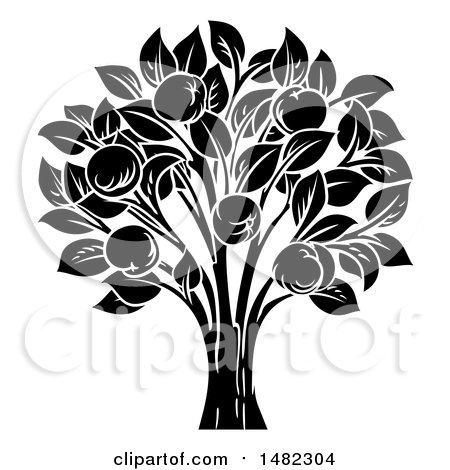 Clipart of a Black and White Apple Tree - Royalty Free Vector Illustration by AtStockIllustration
