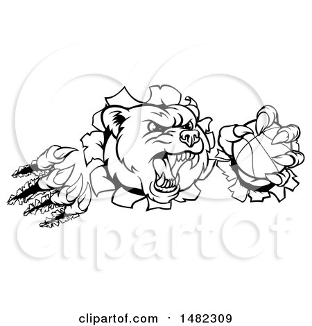Clipart of a Black and White Vicious Aggressive Bear Mascot Slashing Through a Wall with a Basketball in a Paw - Royalty Free Vector Illustration by AtStockIllustration