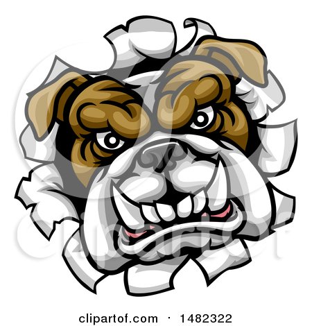 Clipart of a Mad Bulldog Breaking Through a Wall - Royalty Free Vector Illustration by AtStockIllustration