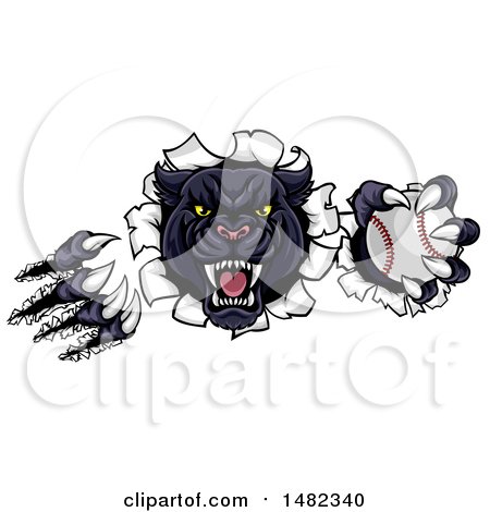 Clipart of a Vicious Roaring Black Panther Mascot Shredding Through a Wall with a Baseball - Royalty Free Vector Illustration by AtStockIllustration