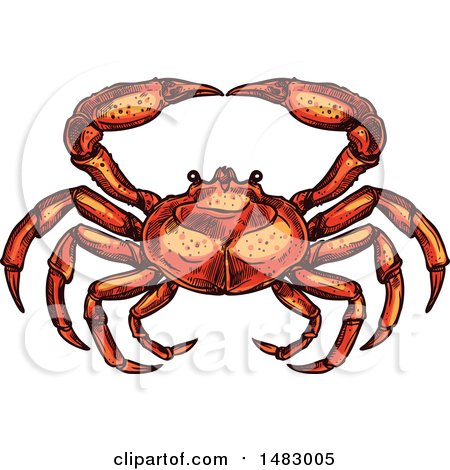 Clipart of a Sketched Crab - Royalty Free Vector Illustration by Vector Tradition SM