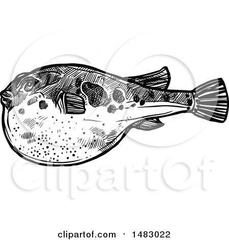 Clipart of a Sketched Black and White Blowfish - Royalty Free Vector Illustration by Vector Tradition SM
