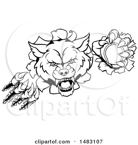 Clipart of a Black and White Ferocious Wolf Slashing Through a Wall with a Tennis Ball - Royalty Free Vector Illustration by AtStockIllustration