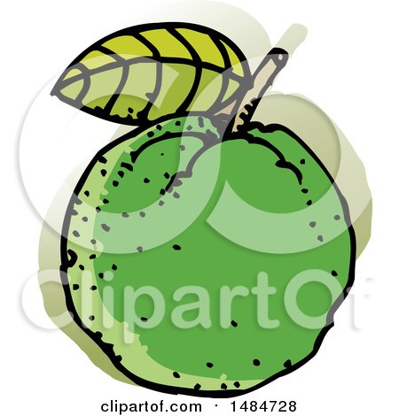 Clipart of a Sketched Guava Fruit - Royalty Free Vector Illustration by Lal Perera