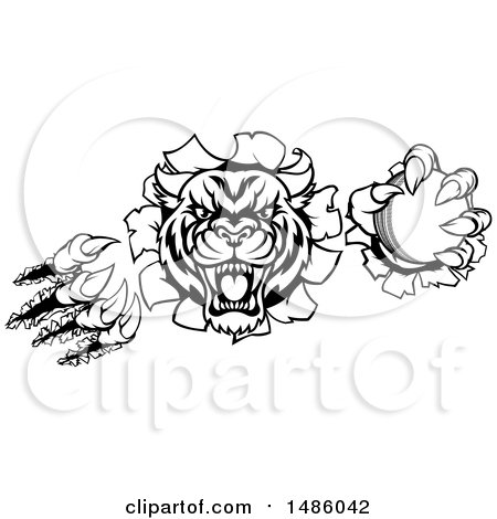 Clipart of a Black and White Vicious Wildcat Mascot Shredding Through a Wall with a Cricket Ball - Royalty Free Vector Illustration by AtStockIllustration